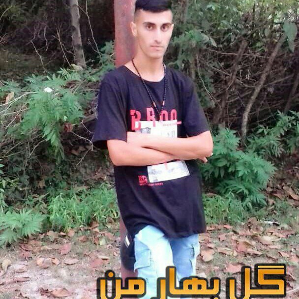 جواد رضایی گل بهار من